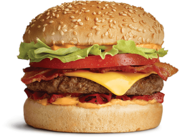 image of a hamburger